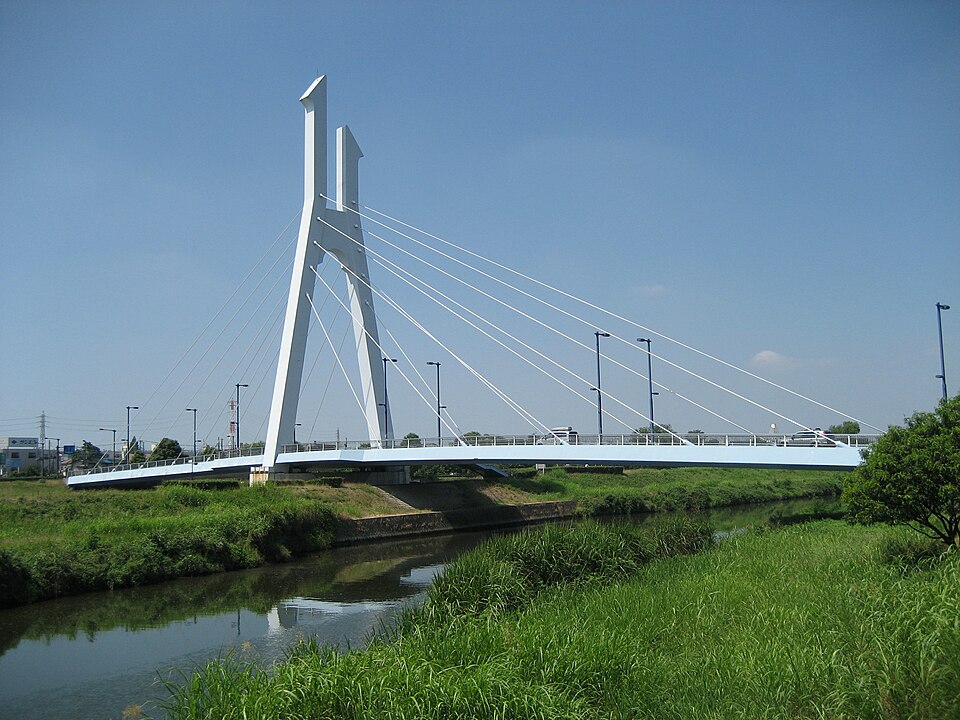 dragoMa Bridge